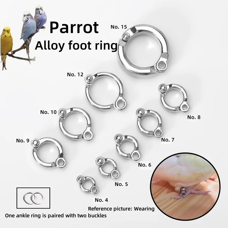 

10 anti-rust alloy parrot foot rings, U-shaped bird foot chains, suitable for the safe and comfortable feet of large grey parrot