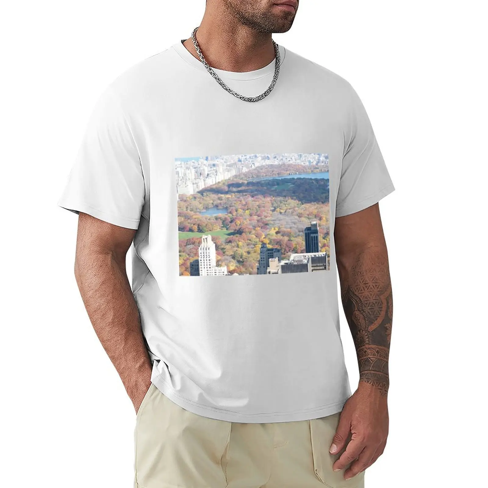 Central Park, Fall Colors, Aerial View T-Shirt graphics tops boys whites mens cotton t shirts