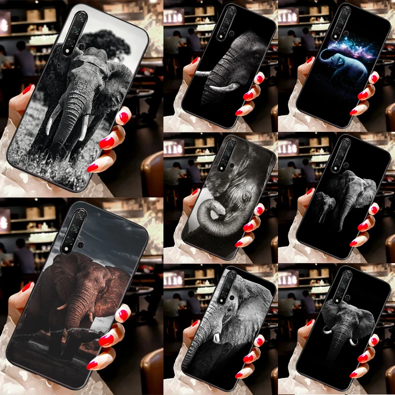 Wild Elephant Head … - image