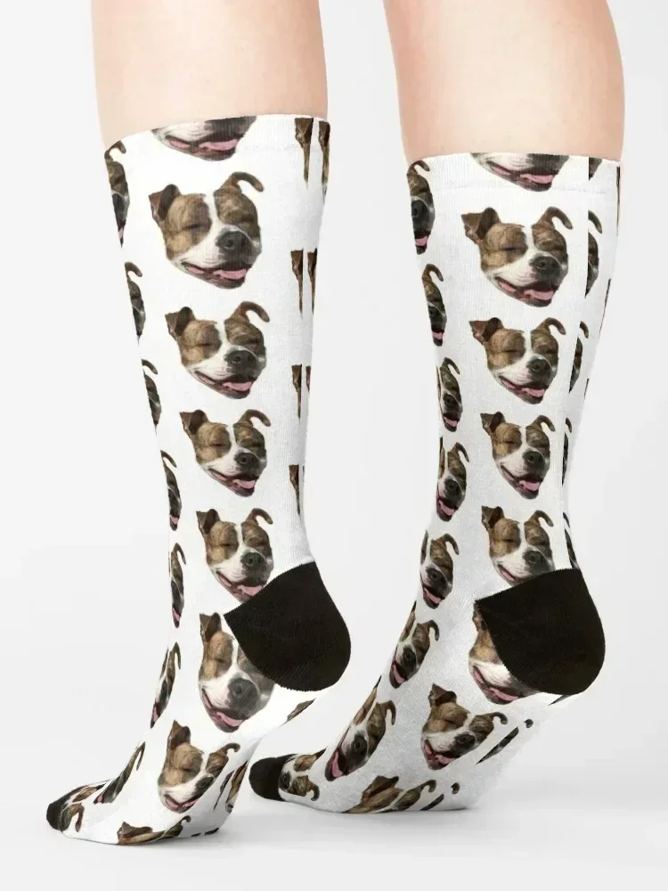 Pitbull Sticker 3 Socks Hiking boots designer brand anti-slip Lots Girl'S Socks Men's