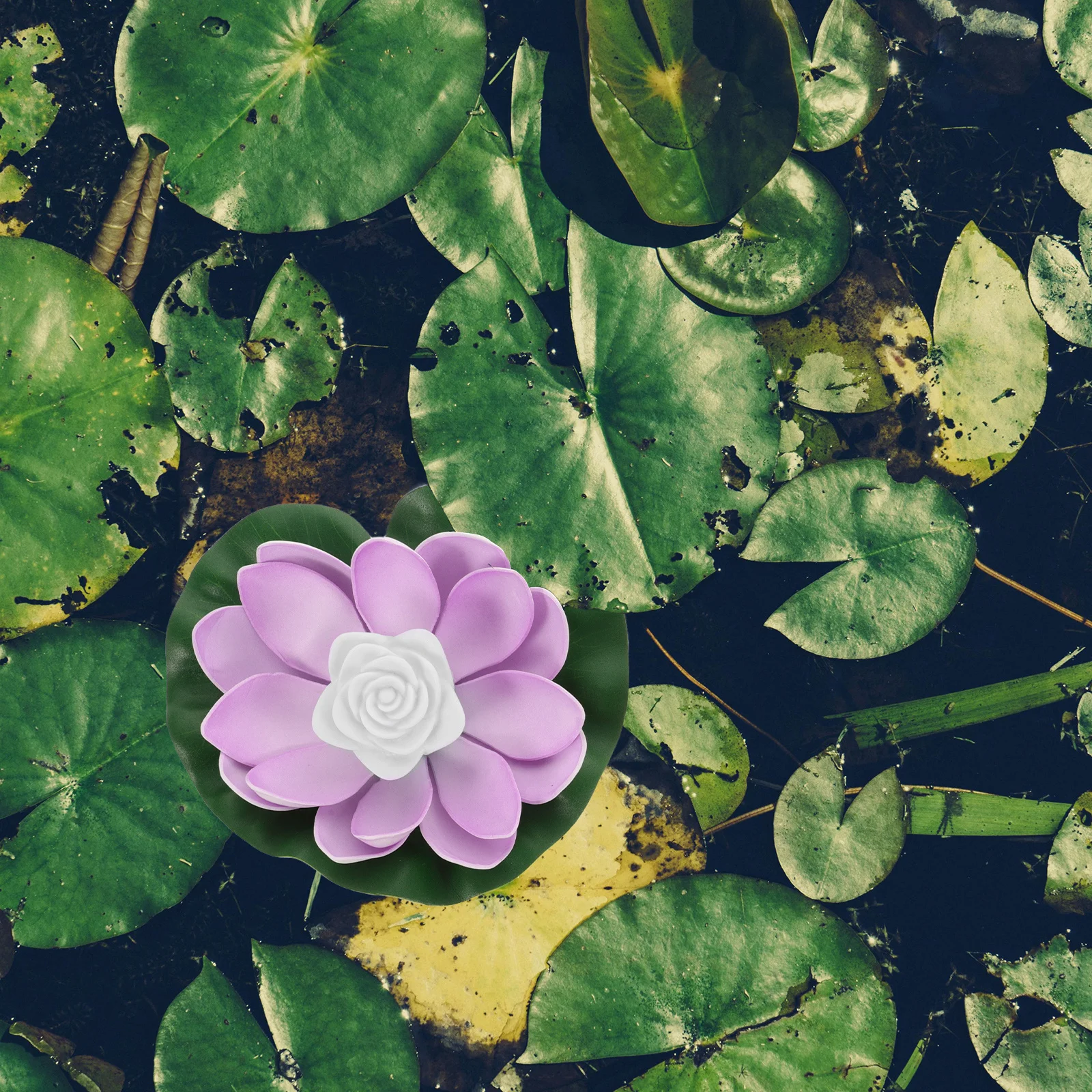 

3Pcs Water Lotus Romantic Waterproof Operated Pool Pond Decoration Yellow Blue Gradient