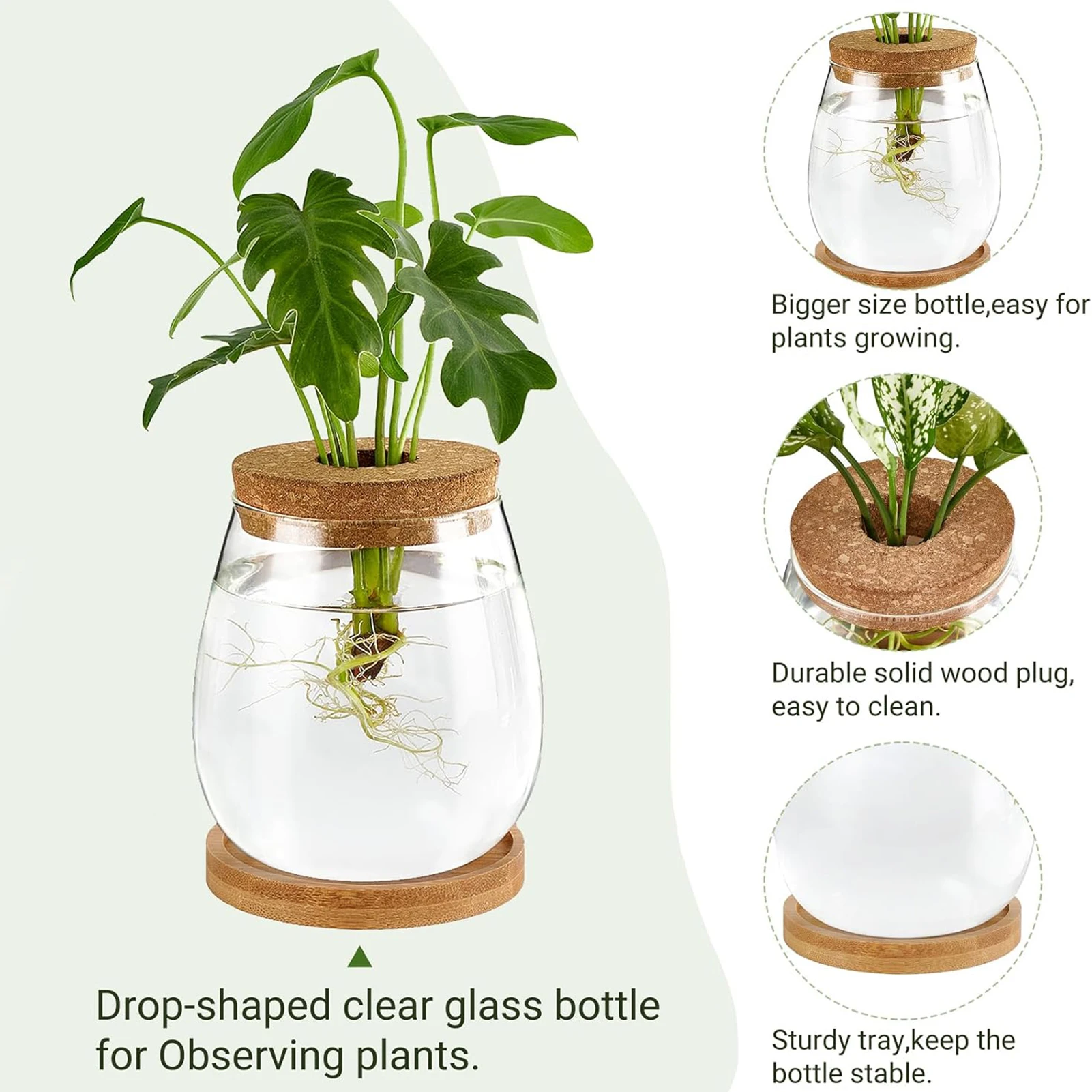 Glass Vases with Wood Stand Flower Pot Plant Container Desktop Glass Planter For Indoor Live Hydroponics Plants