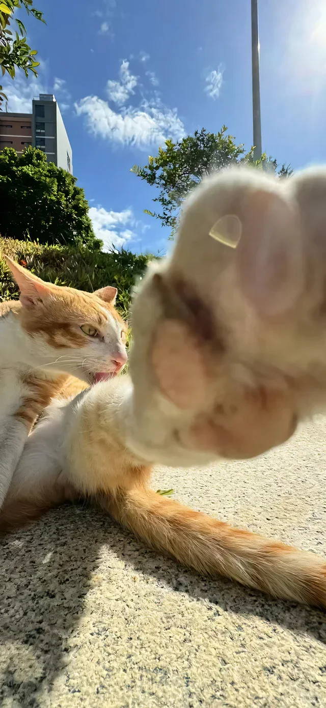 

Beauty Device Machine for Skin Rejuvenation Rejuvenation Opt Acne Treatment Beauty Machine