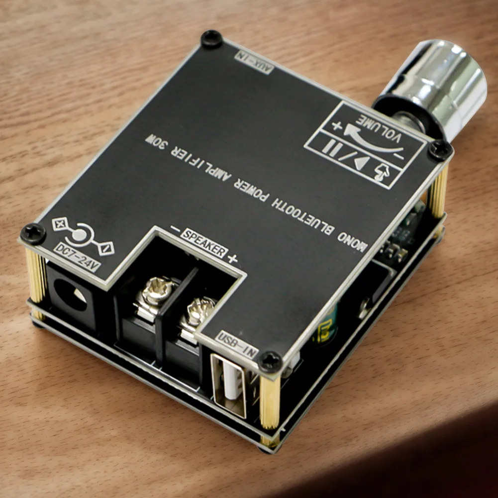 ZK-301B Mono 30W Au…