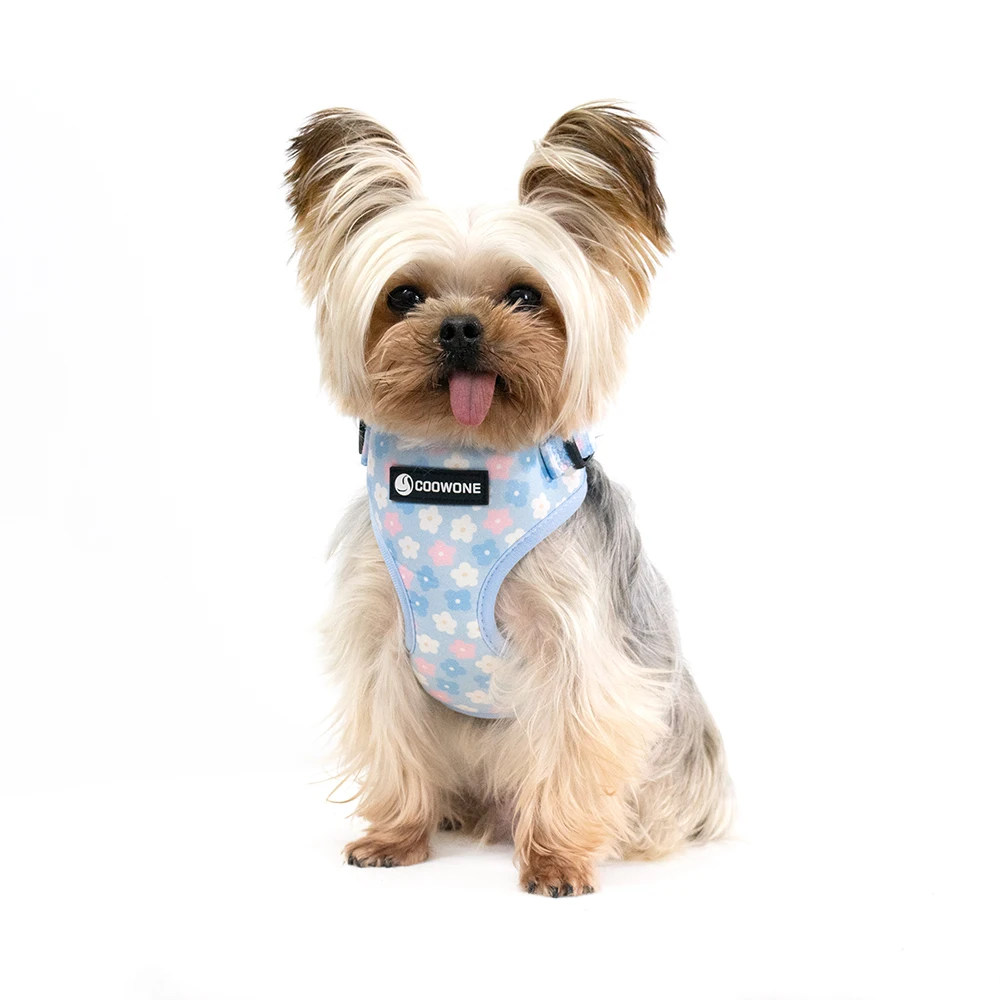 Collarlogo Adjustable Pet Dog Collar Durable Soft Cute Creative Colored Blue Flower Leash Neoprene Harness Poop Bag Dispenser