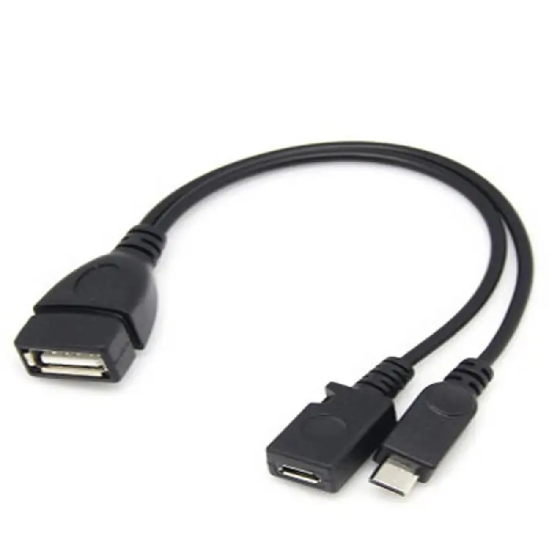 2-In-1 Otg Usb To M…