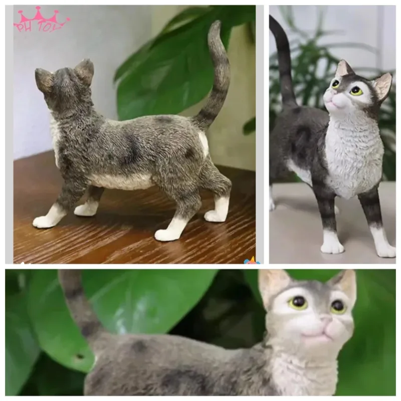 Model kota amerykańskiego Wirehair w skali 1/6, symulacja, do ekspozycji figurek żołnierzy, kolekcja, ozdoba, prezent, rękodzieło, zabawka dla zwierząt.