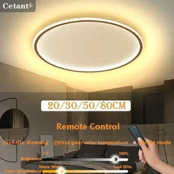 LED Ceiling Lights 20/30/50/80cm Remote Control Adjustable Color Temperature Brightness Bedroom Living Room Kitchen Indoor Lamps