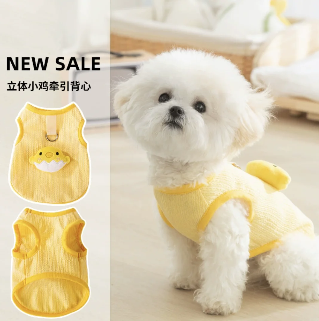 Spring And Summer D… - image