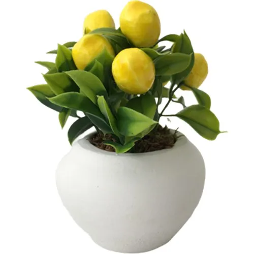 Gift Showcase Artificial Flower Oval Concrete Pot Sukulent Pot Limon