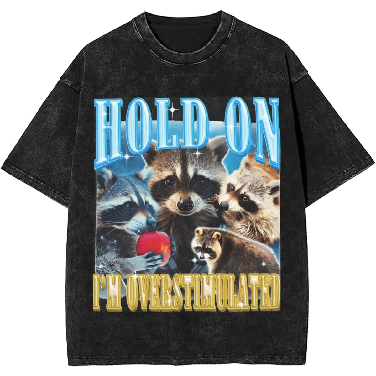 

Man T Shirt Funny Anatomy Racoon Raccoon Washed T Shirts Hip Hop Summer Tee Shirt Vintage Print Cotton Tops New Arrival