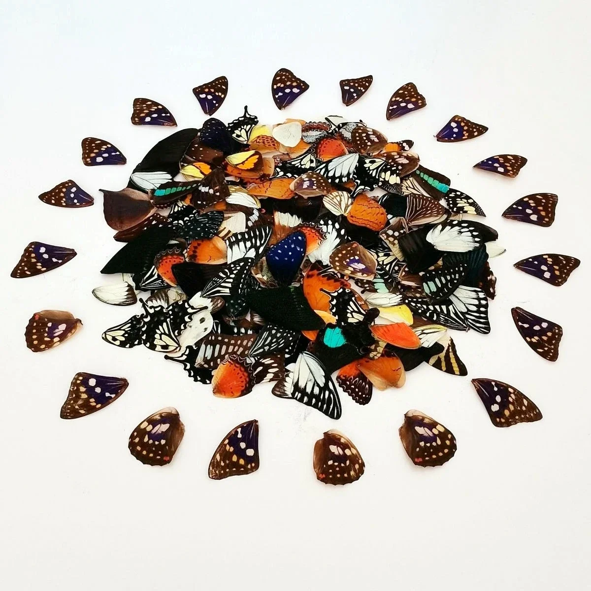 

2149 Wholesale 1000 Pcs Butterfly Wings Decorative Painting Clip Art Natural Craft Supply Retro Material Christmas Decor Gifts