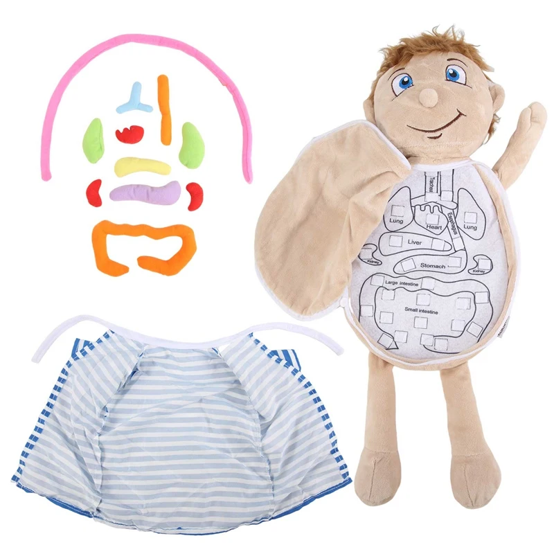 Muñeca de peluche ensamblada para niños, juguete de órganos corporales, anatomía del cuerpo humano, herramienta de enseñanza de ciencias, juguetes educativos