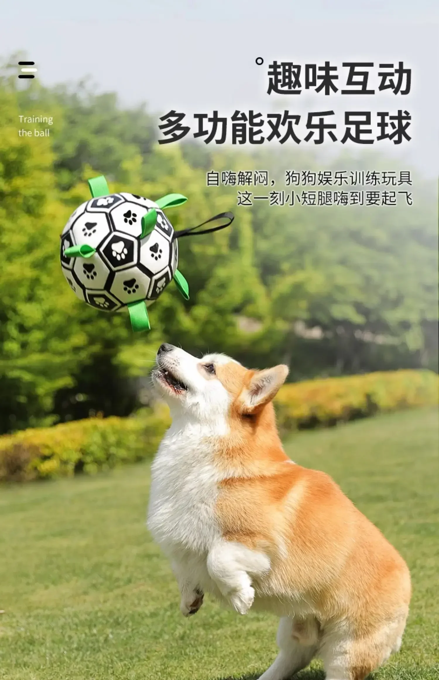 Dog toy ball border collie  Labrador corgi training special bite resistant products