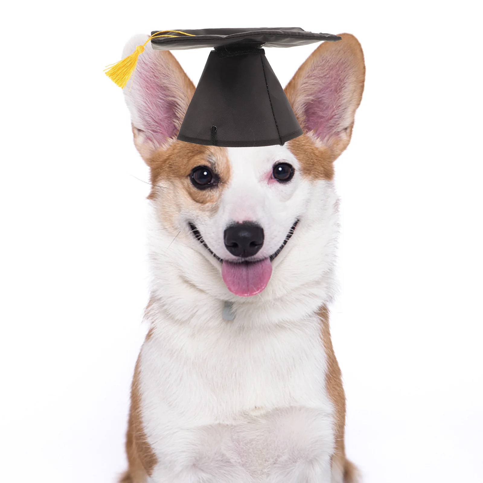 2 Pcs Puppycorn Pet Graduation Cap with Tassels Ceremony Party Supplies Hat for Black Baby