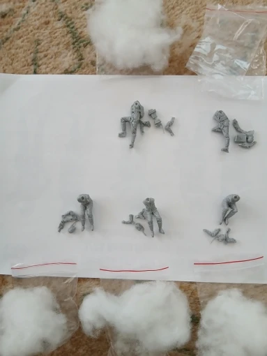 Buyer photo of this resin kit