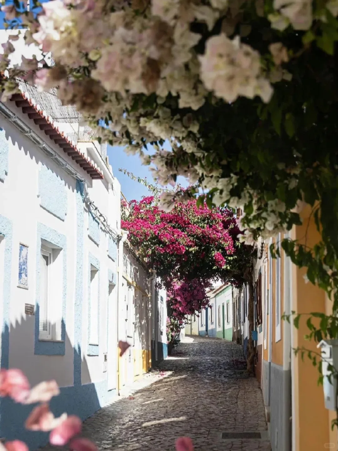 

Multimedia Video Auto Radio For Jaguar S-Type 2004 - 2009 Android 14 Car radio Player GPS Navi Auto Stereo Multimedia DSP Unit