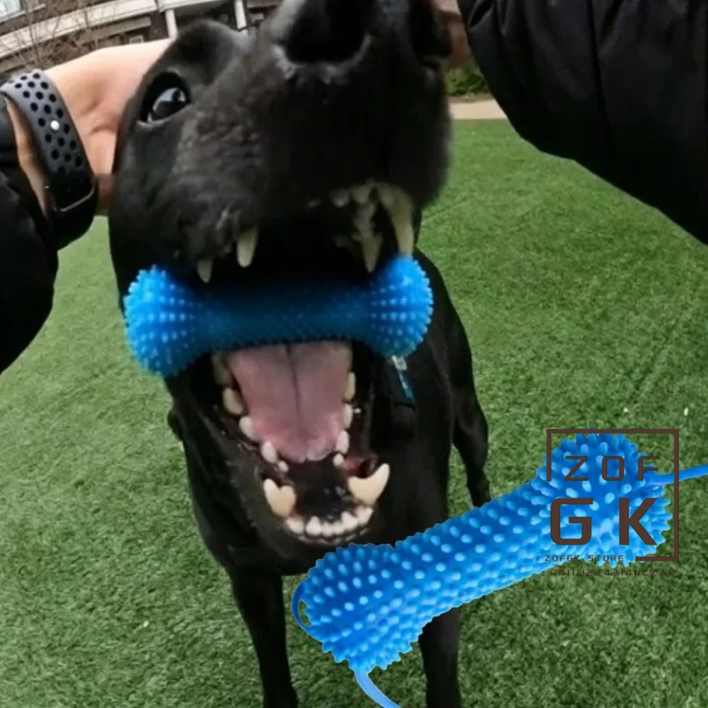 #74 Latest Rubber Dog Toys Offers