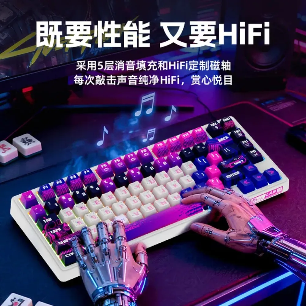 Rk R75pro Wired Magnetic Switch Keyboard Single Mode 0.1ms Low Delay RT0.005mm Hot Swap With Knob Gaming Mechanical Keyboard PC