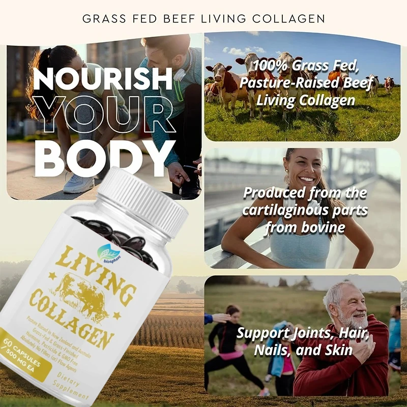 Collagen Nutritional Powder Supplement, 3000mg, Promotes Healthier Skin, 60 Capsules for Hair, Nails, and Joints