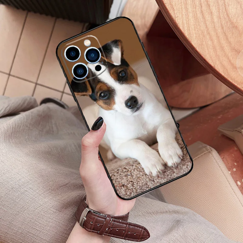 Dog Jack Russell Terrier Cover posteriore per iPhone 15 11 12 13 14 Pro Max Mini X XR XS Max SE 2022 2020 7 8 Plus