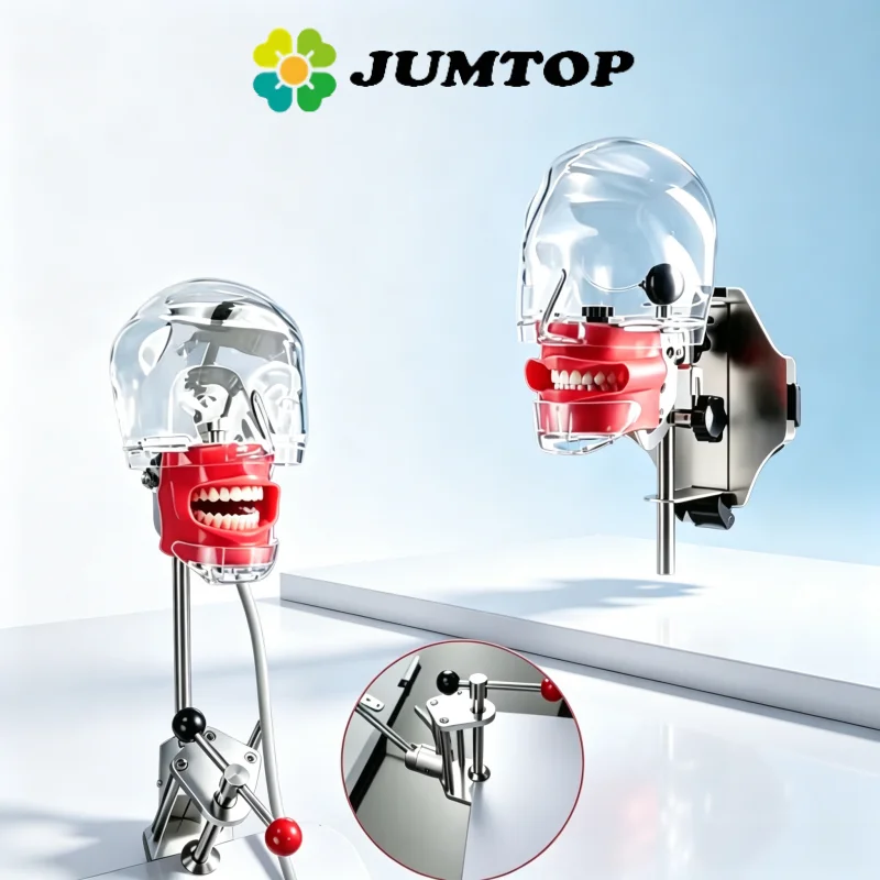 JUMTOP Dental Simulation Head Training Simulator Simple Head Model Manikin Phantom Head for Dentist Education