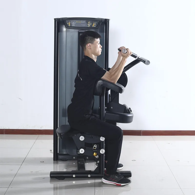 เครื่องออกกำลังกายแบบนั่งสำหรับบริหารกล้ามเนื้อไบเซ็ปส์ในยิมเชิงพาณิชย์