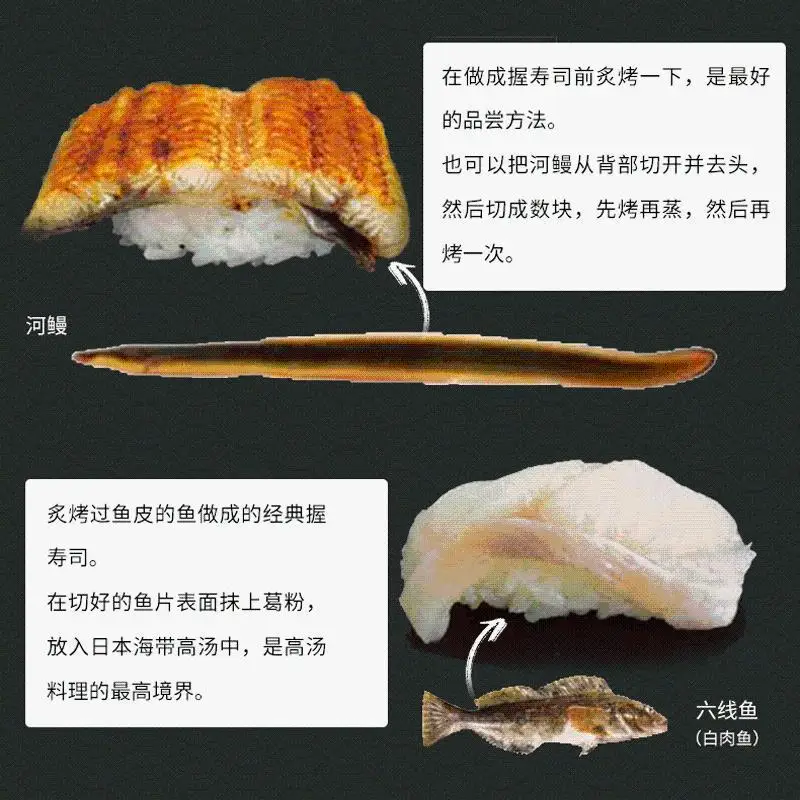 Sushi Ingredients Guide, Japanese Cuisine Sushi Recipes Recipes Fancy Making Japanese Sushi Daquan Tutorial Book