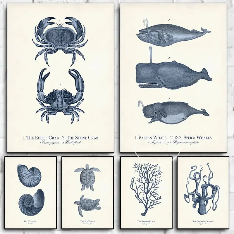 Vintage Sea Life Illustrations Canvas Poster Aquatic Creatures Print Wall Picture for Nursery Navy Blue Beach Bedroom Home Decor
