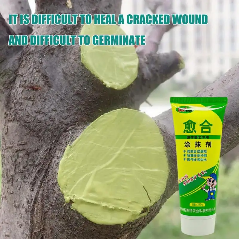 

Tree Wound Sealer Protective Seal For Trees Quick Recovery Tree Pruning Sealer For Seedling Cultivation Pruning & Grafting