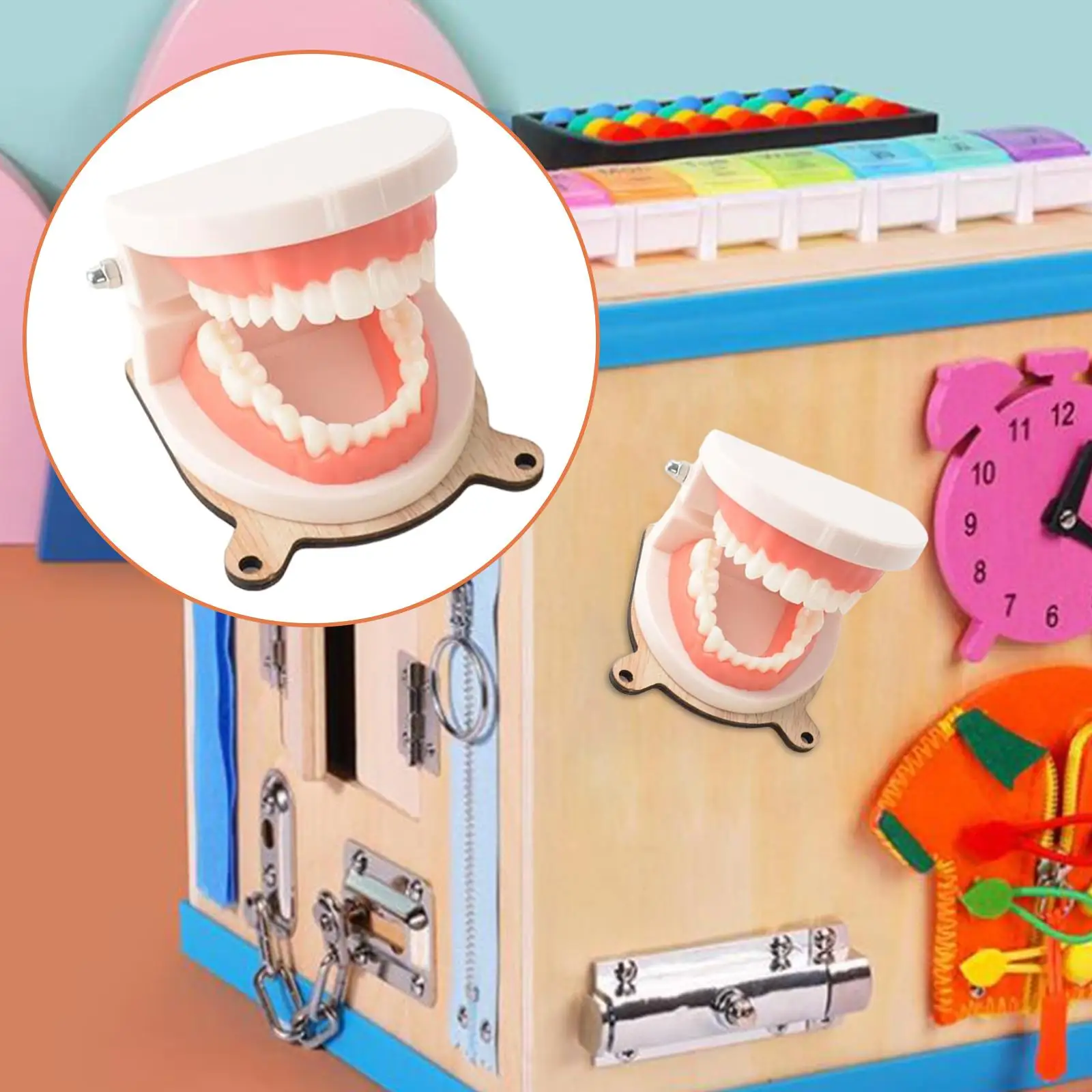 Montessori Practical Life Brushing Teeth Model for Children Preschool Toys