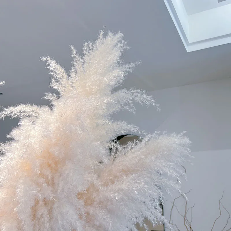 大きな湿地の葦の束,120cm,天然のドライフラワー,結婚式の装飾,自由奔放に生きる家,緑の居間,緑