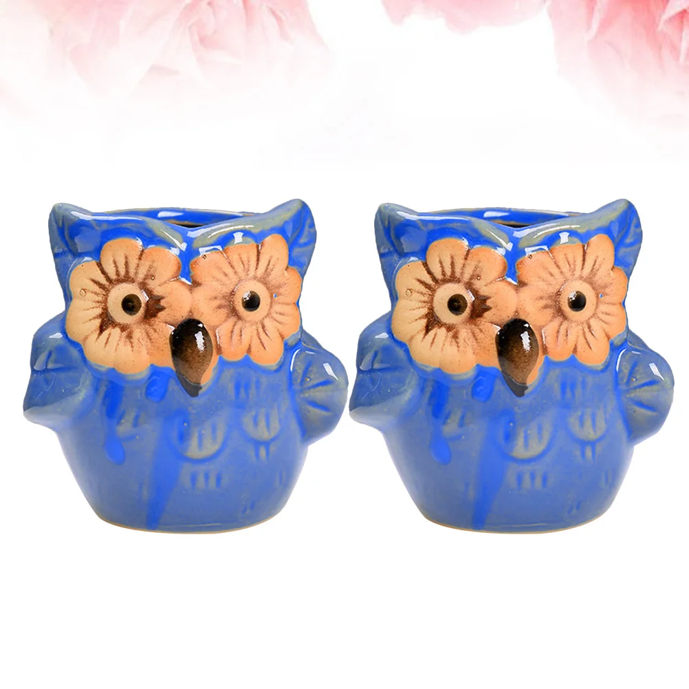 

2Pcs Big Eyes Owl Ceramic Flowerpot Durable Plant Container with Drainage for Succulents Seedlings Garden Flower Pot