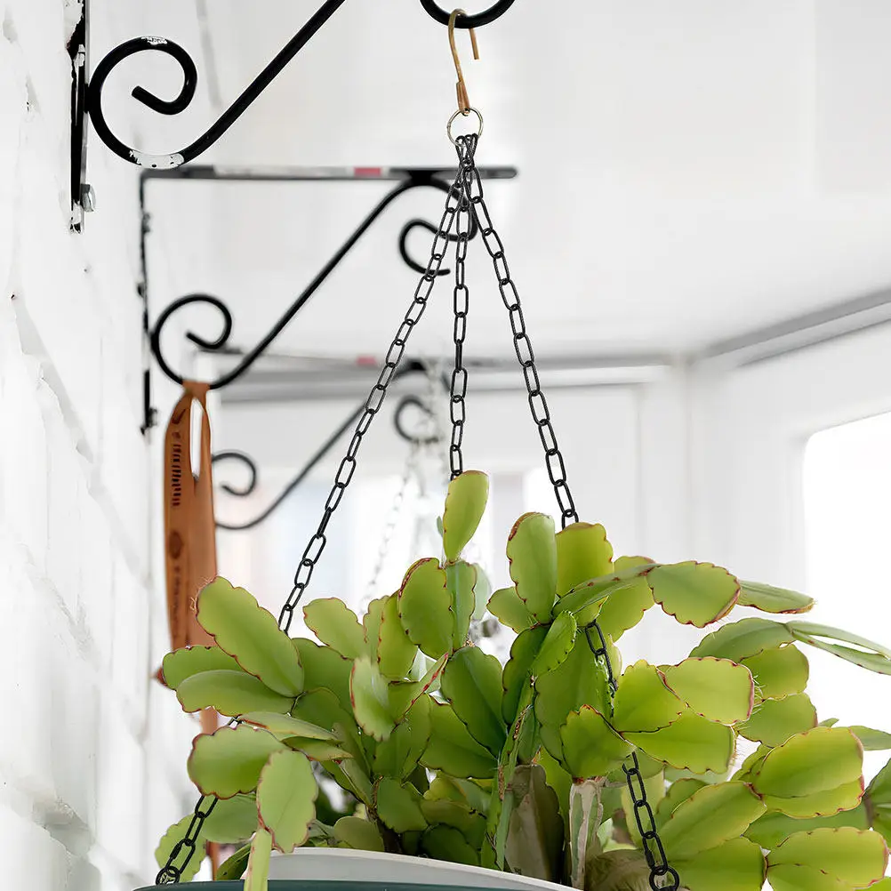 

Black Chain Light Kit for Hanging Lights Black Lacquered Chain Adjustable Extension for Pendant Chandelier Ceiling Canopy Kit