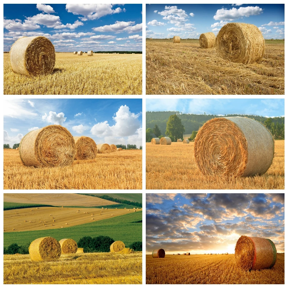 Autumn Farm Haystack Background Golden Wheat Spikes Grass Crop Blue Sky Natural Scene Photography Backdrop Photocall Photo Props