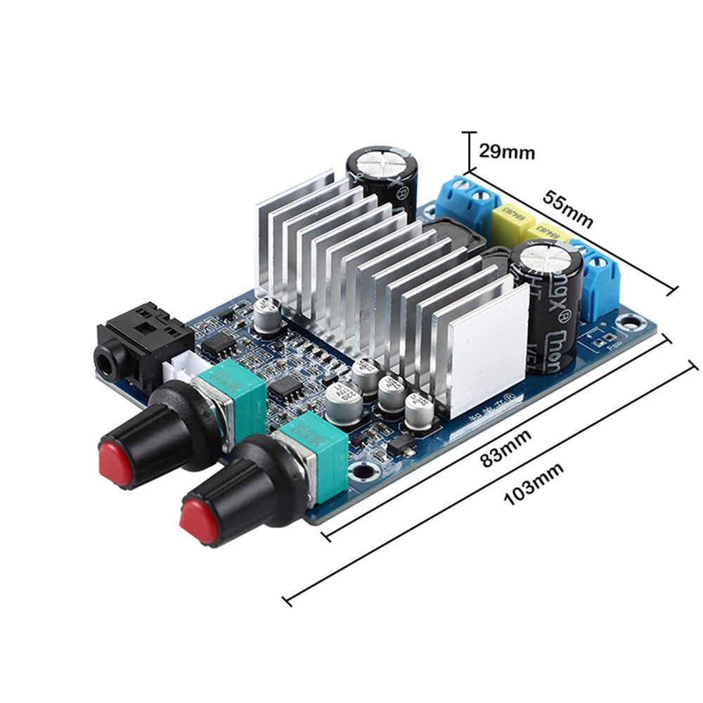 Aiyima Tpa3116 Subwoofer Versterker Board Tpa3116d2 Audio Versterkers 100W Bas DC12-24V