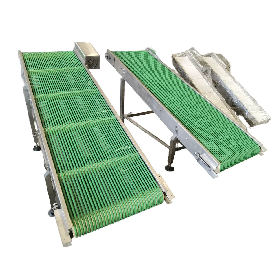 

Modular Belt Conveyor with 304 Stainless Steel Frame and PP Plastic Belt Mesh Belt Conveyor for Food Fruit Industry Customized