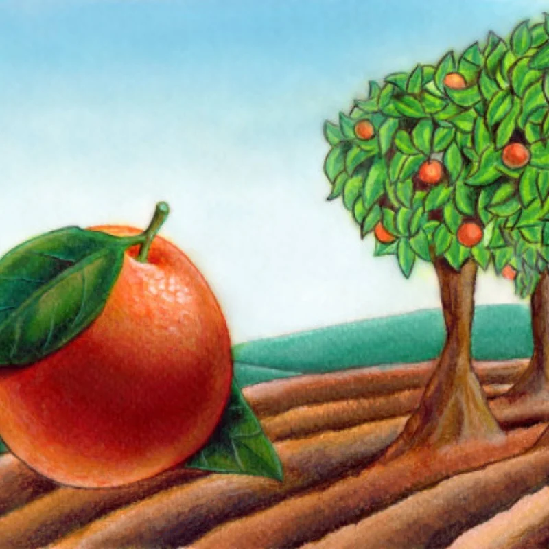 

for Wltoys K929 K939 K969 K979 K989 K999 1/28 Scale RC Car Spare Parts K989-26 Metal Upgrade Adjustable Ball Differential Box