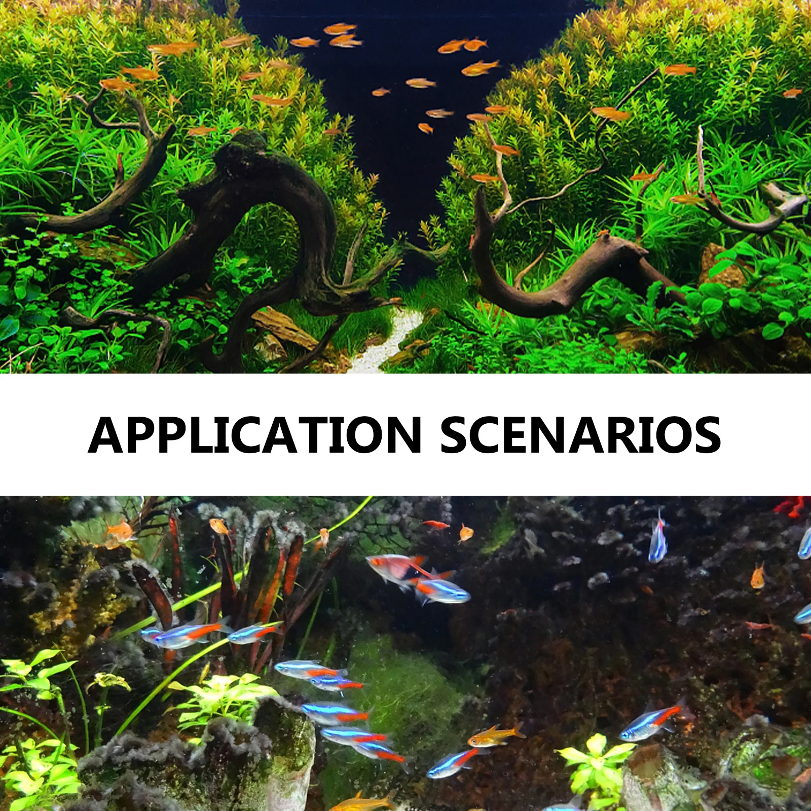 Reptile Tank Decoration 3D Background Board Stylish Aquarium Display PU Material Durable Fade Resistant Beautiful Scenery