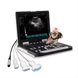 15 Inch Portable Notebook Big Small Animal Cat Dog Horse Cattle Sheep Pig USG Ultrasound Scanner Machine