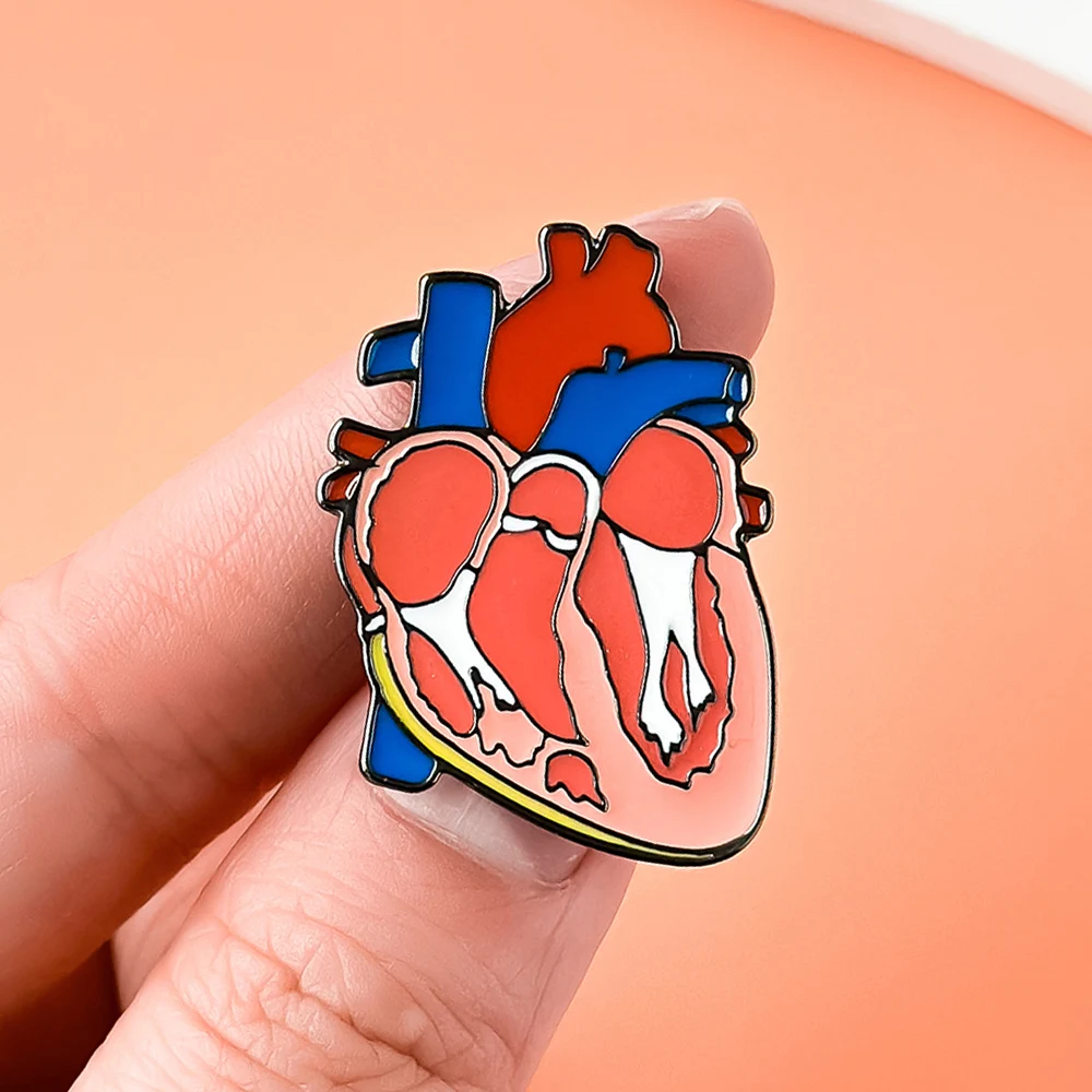 Anatomy Heart Organ Lapel Pin Colorful Medical Cardiology Enamel Brooch Bag Badge Creative Jewelry Accessories for Doctor Nurse