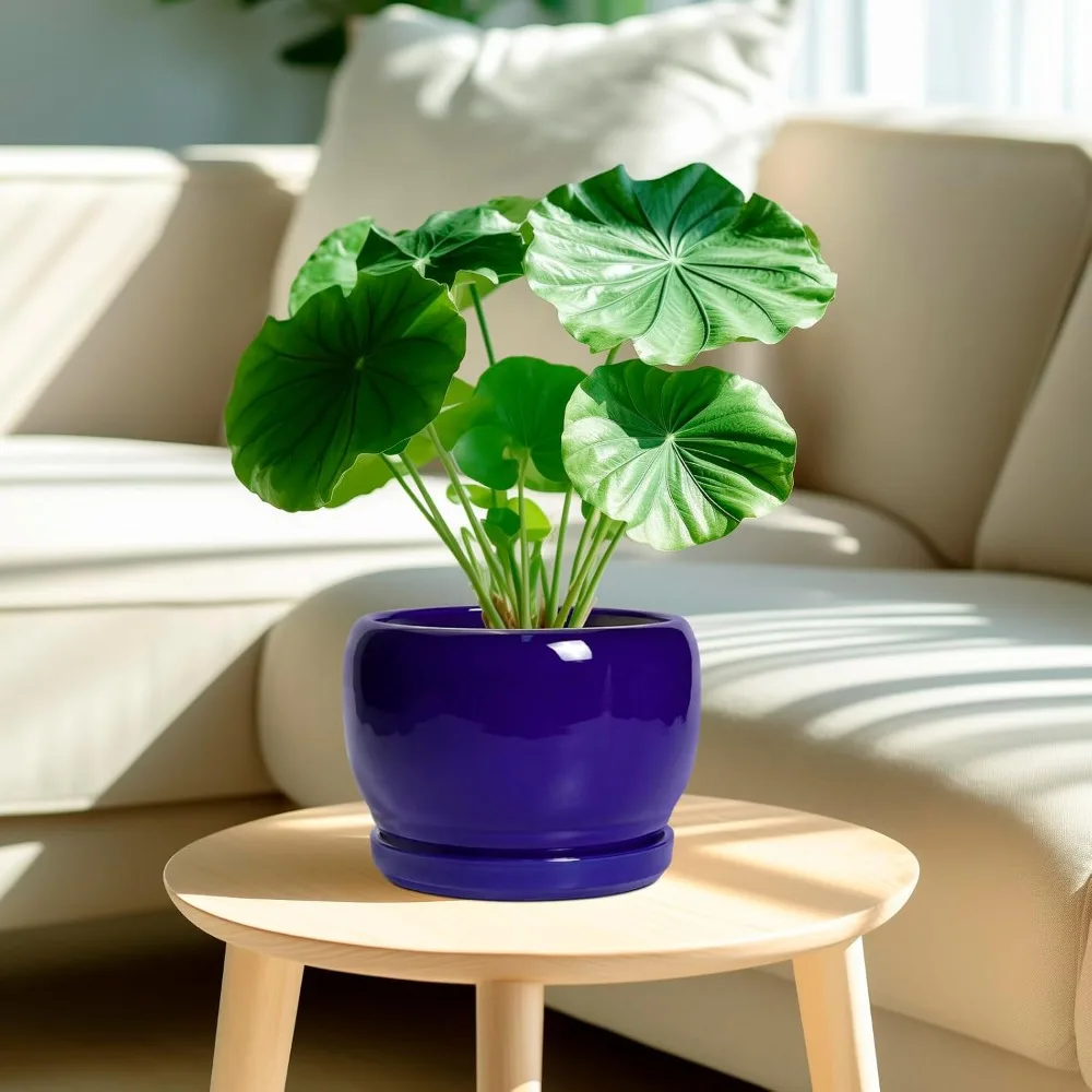 وعاء نبات سيراميك مقاس 8 بوصة مع فتحة تصريف وصحون، زارع دائري حديث للنباتات الداخلية والخارجية، هدية ديكور أزرق