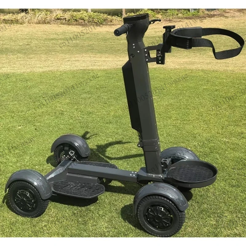 48V Four Wheel Custom Electric Golf Cart Outdoor Electric Golf Transport Cart
