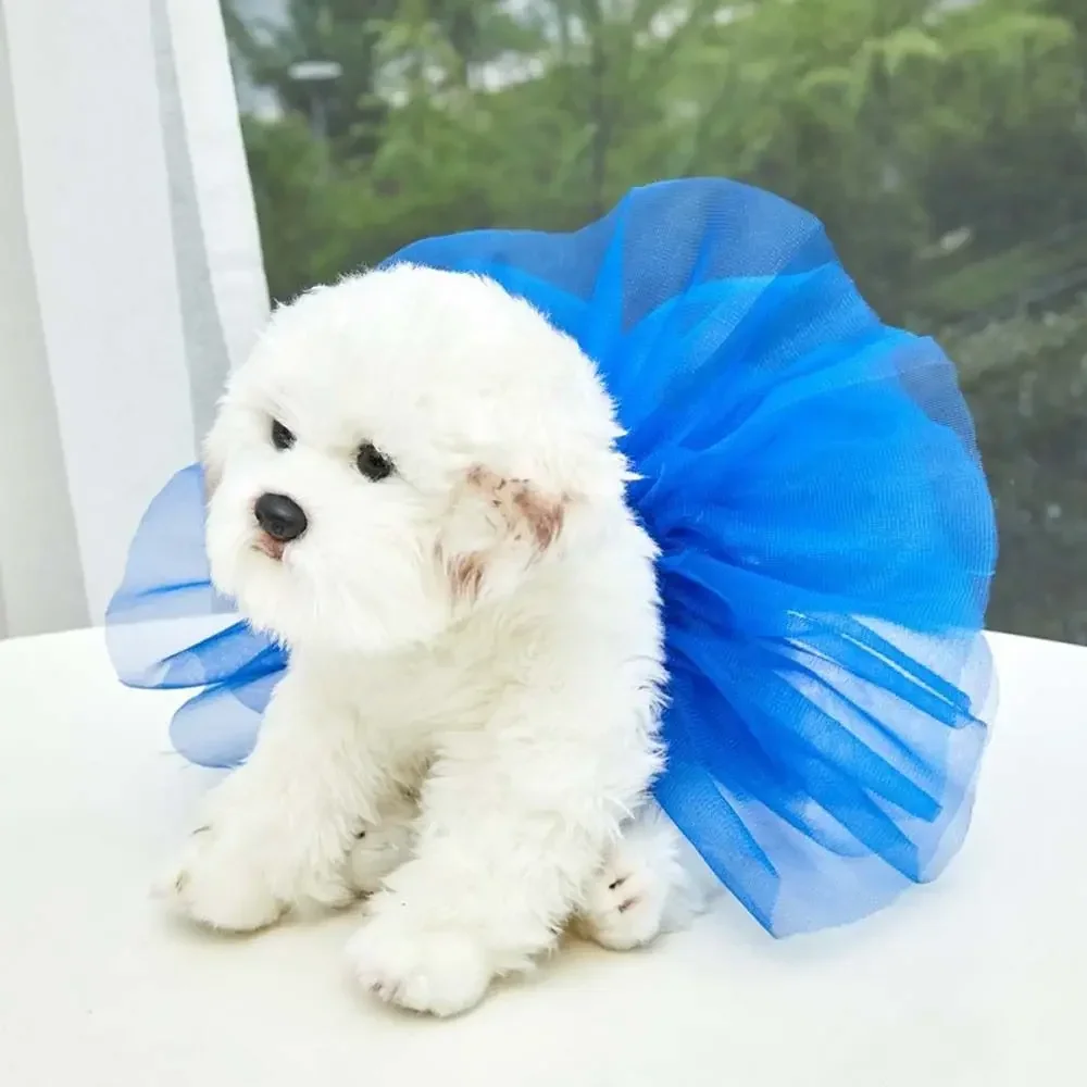 Robe tutu princesse en dentelle pour chien petit et moyen_voghion.com