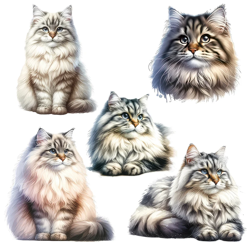 Three Ratels CD144 lovely Persian cat wall sticker For home decoration Personalized car decals