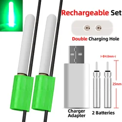 CR425 배터리 충전기가 있는 전자 막대 발광 플로트 스틱 조명, LED 낚시 플로트 스틱, 잉어 낚시 야간 조명, 2 개