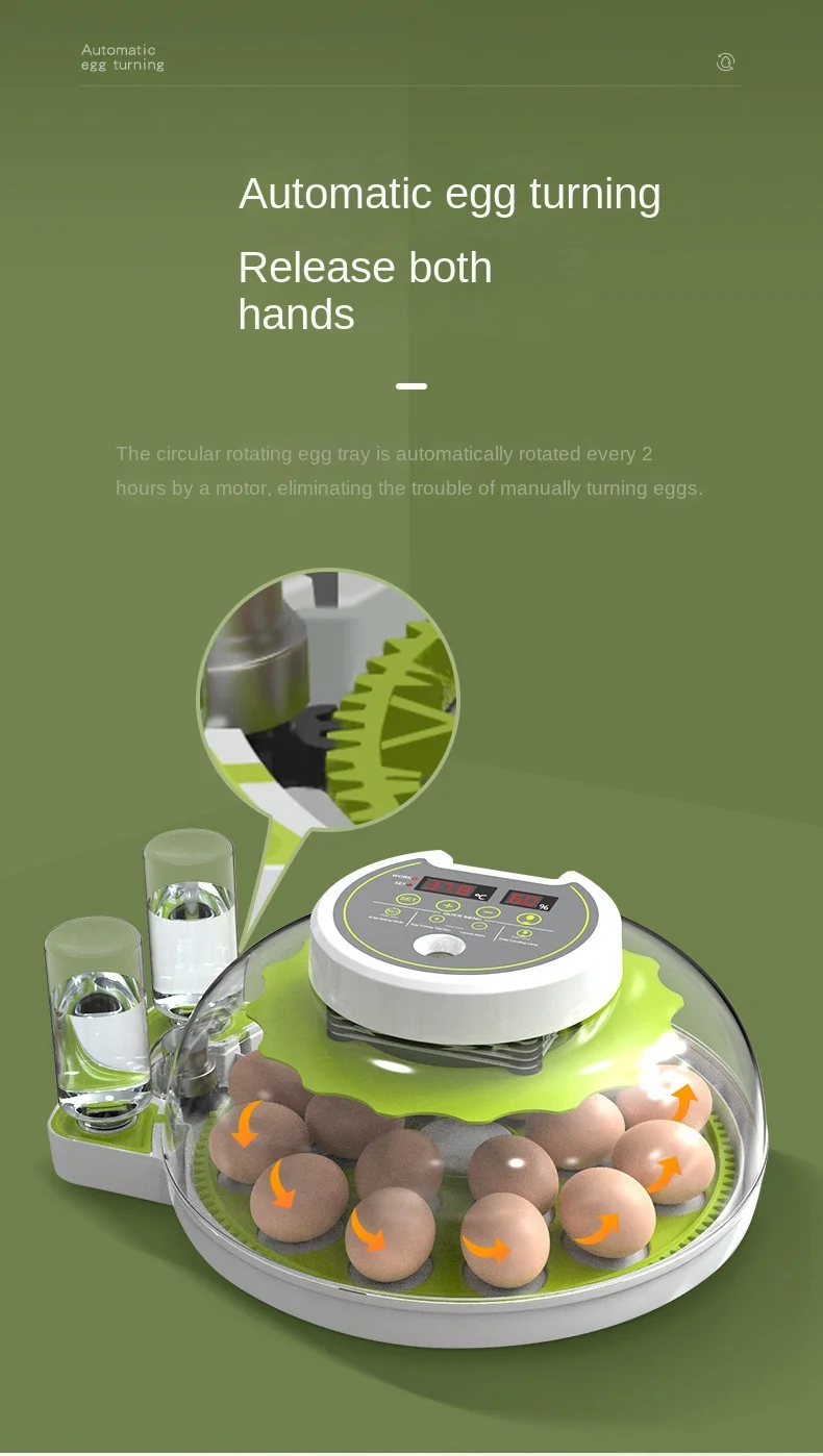 6-18 Egg Incubator for Hatching Eggs Eggs High Hatching Rate Automatic