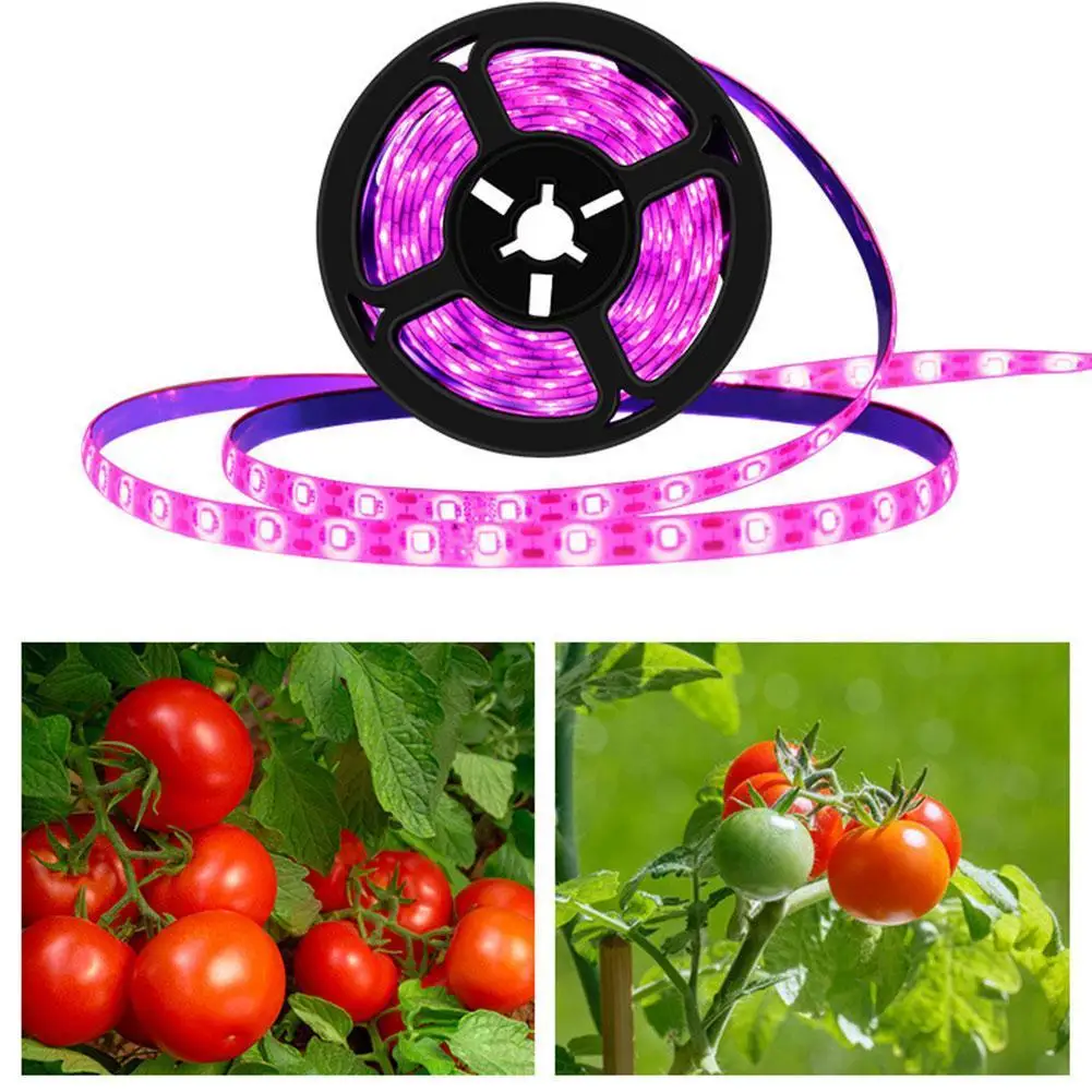 

1/2/3/4/5M LED Full Spectrum Phyto Lamp USB 5V Grow Light Strip Waterproof USB Plant Flower LED Greenhouse Cultivo Hydroponic