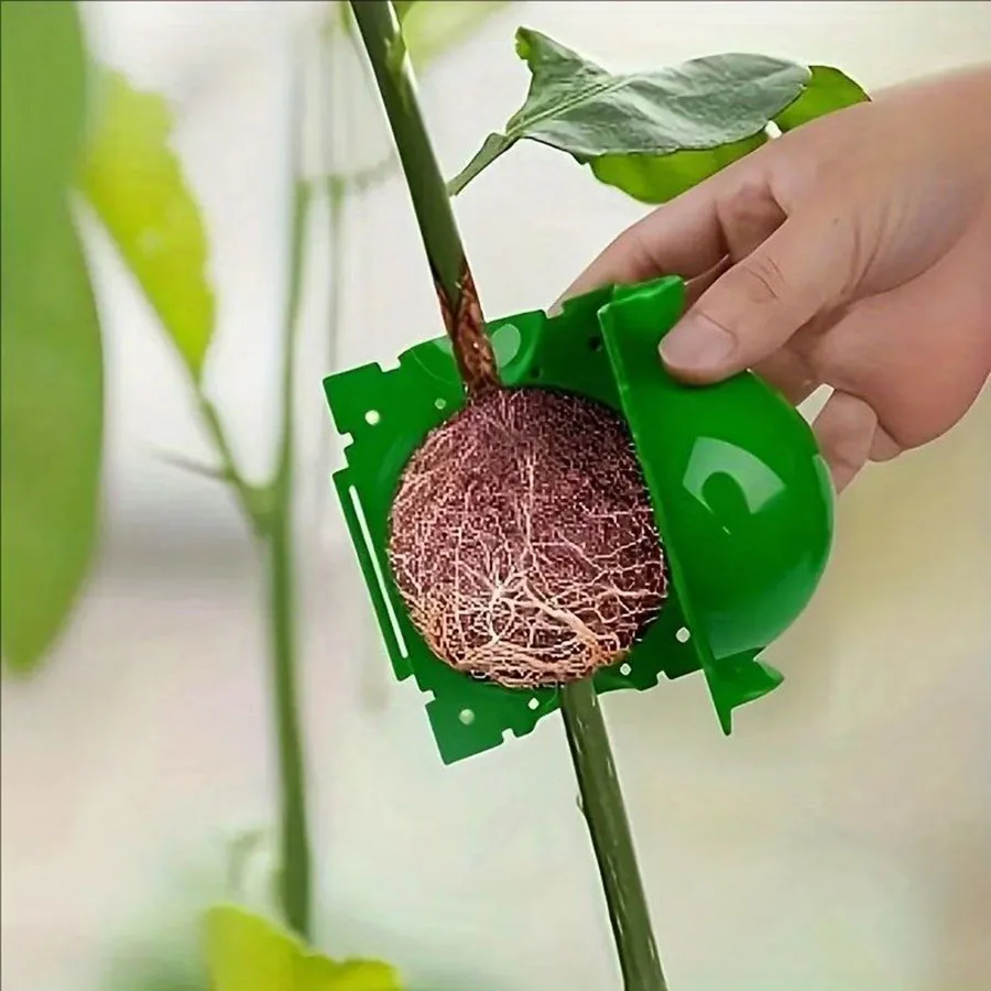 5pcs/10pcs/20pcsPlant Propagation Balls,High-altitude Pressure Branch Grafting Balls, Gardening Planting Tools