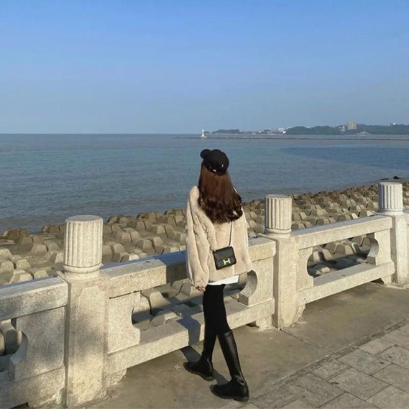 

Двусторонняя бархатная новинка 2023 года, плюшевая куртка с воротником-стойкой, универсальная маленькая интернет-студенческая знаменитость